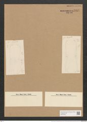 Amphora ostrearia var. quadrata (Breb.) Rabh. (de-Toni-Nr.: Genus 36, Species 1504) Zeichnungen Sammlung Grunow Nr. 2913 (NHMW-BOT-W0370253)